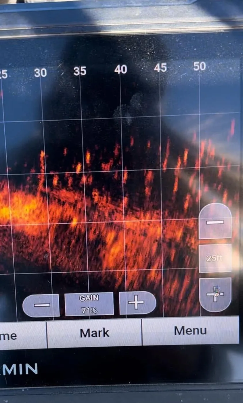 LiveScope forward-facing sonar showing a school of crappie