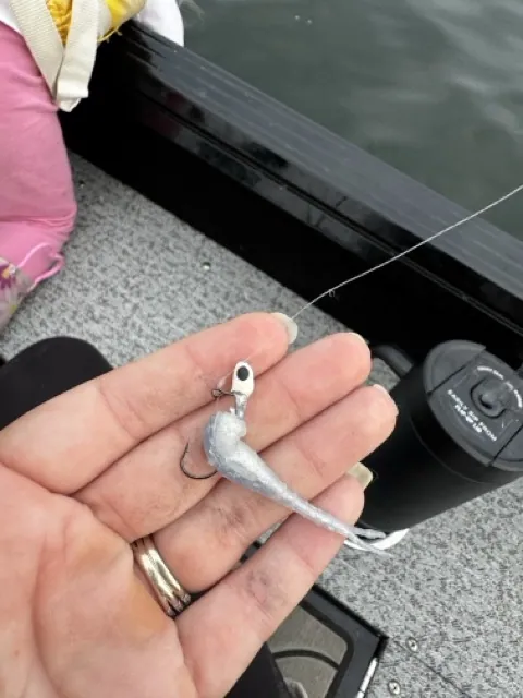 Why This Combination Never Leaves My Boat – Crappie Fishing Tips: Light Gear for Heavy Limits