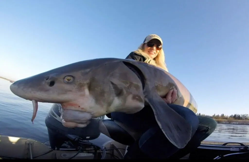 Sturgeon fishing Minnesota