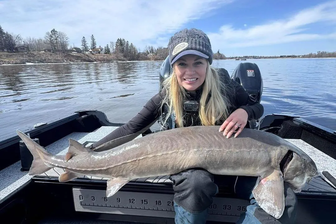 Lake sturgeon — Rainy River